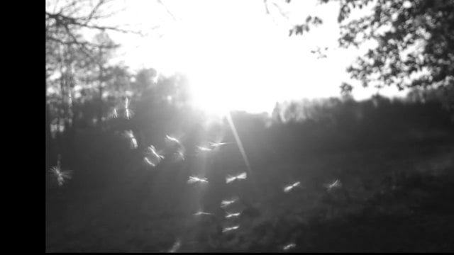 Magic on Vimeo