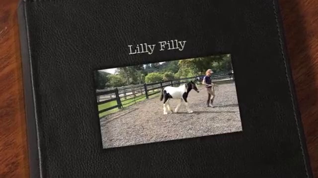 Lilly Filly