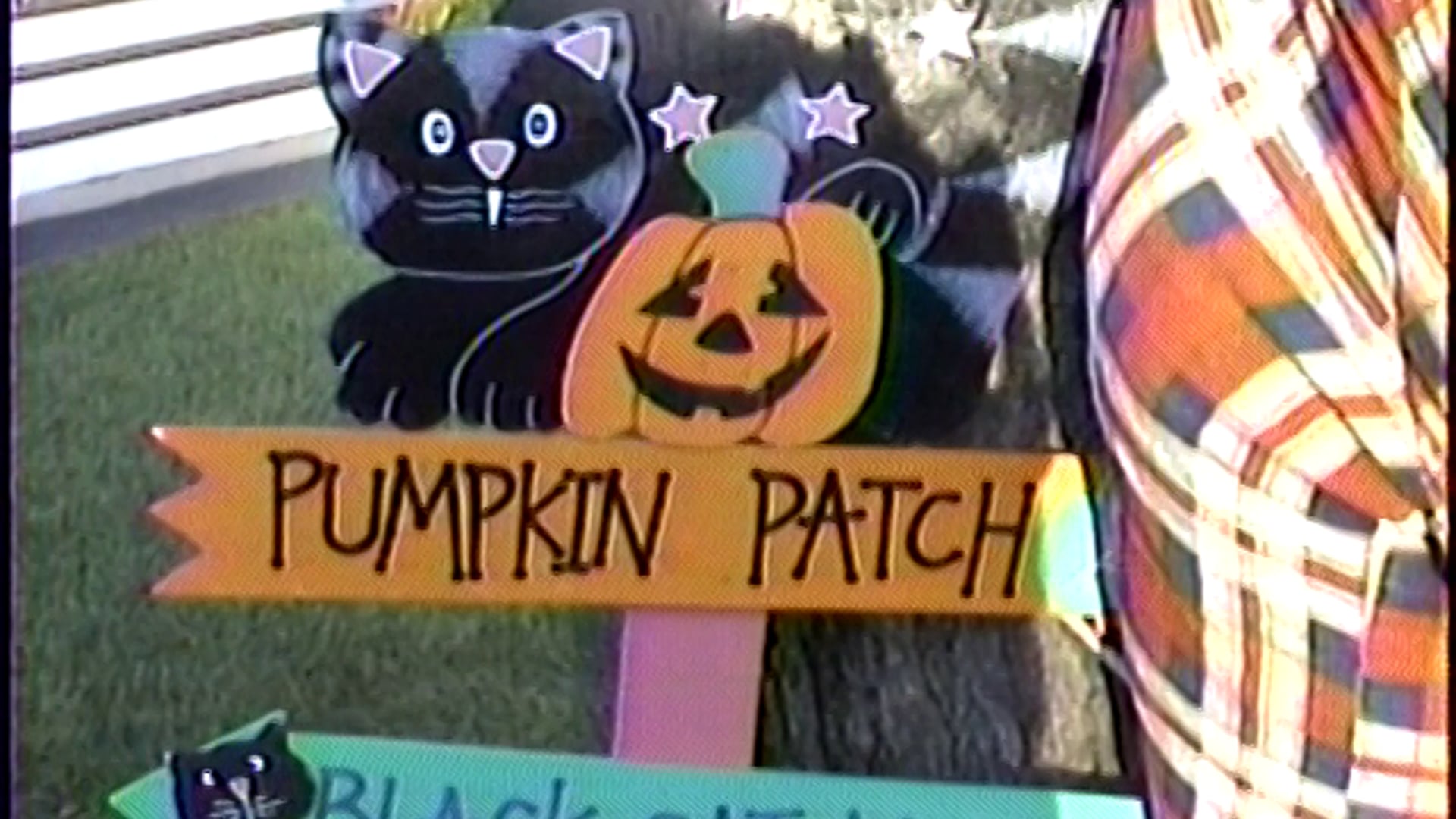 Confidence Through a Camcorder