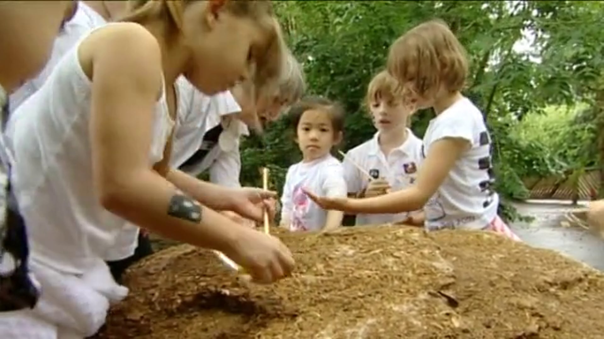 DoE Growing Schools 'Fossils'