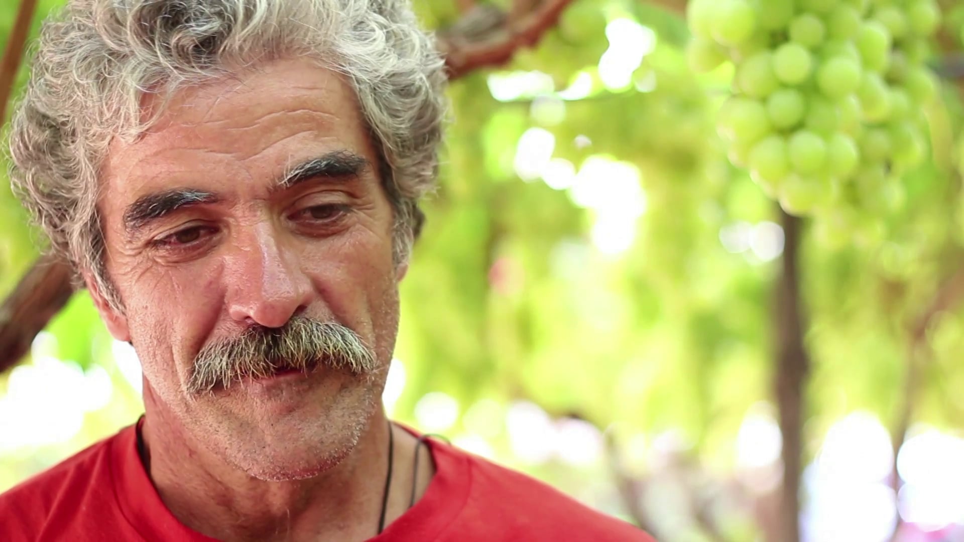 TERRONIA - La Terra che parla