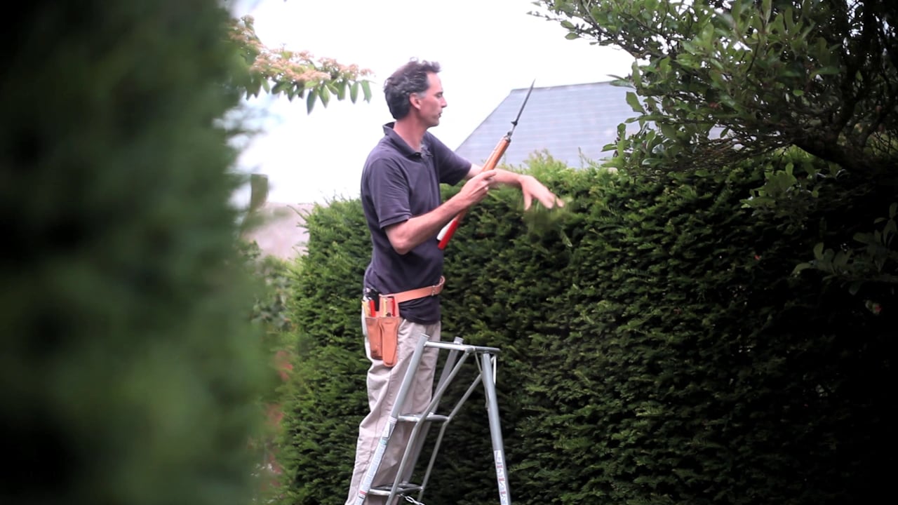 Niwaki Tripod Ladder