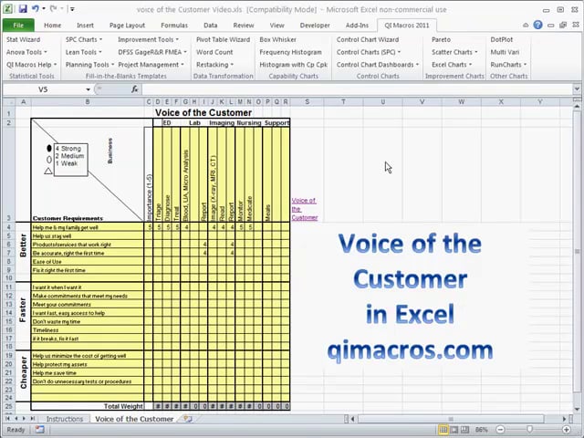 Voice of the Customer Template in Excel 