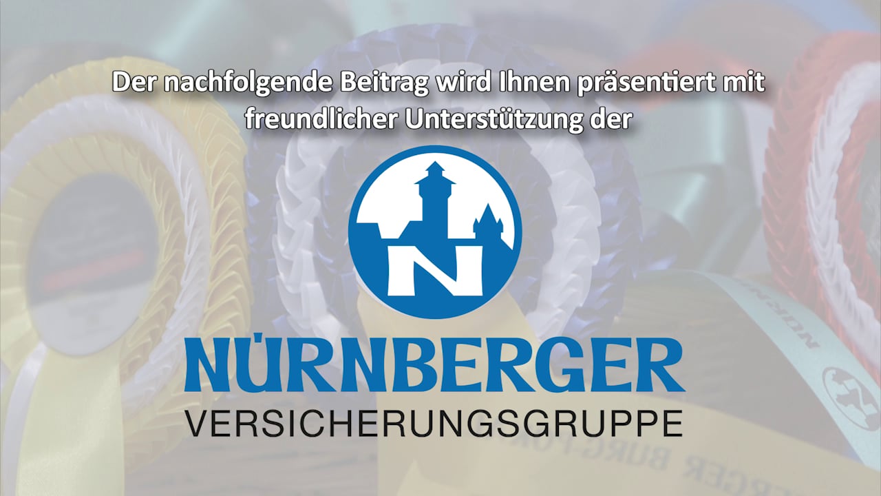 Linkenheim 2014, Nürnberger Burg-Pokal  Springen, Impressionen & Interviews - www.nuernberger.de