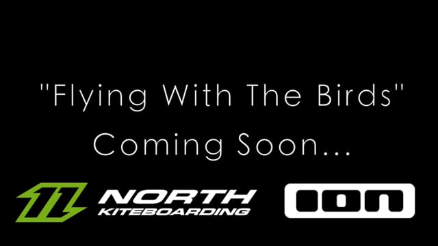 Teaser /// Seb Garat - Flying With The Birds