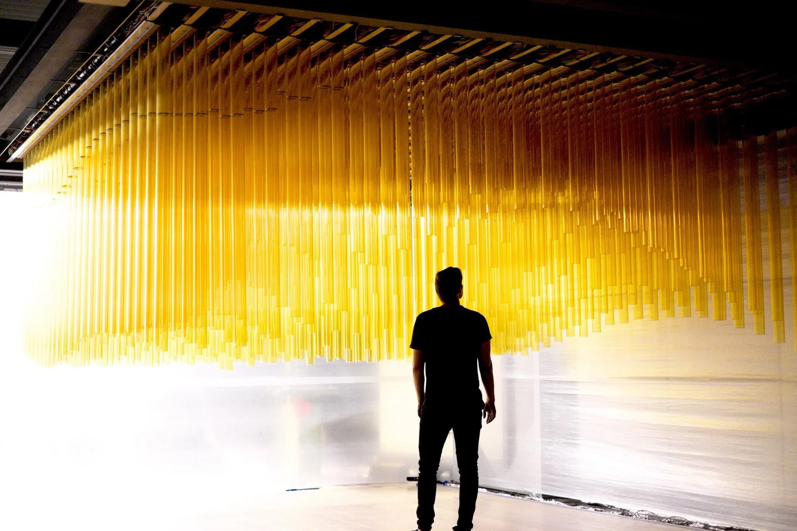 アート・デザイン・音楽 Neue Holzarchitektur in Skandinavien アート・デザイン・音楽 Neue Holzarchitektur in Skandinavien