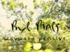 Rye Pines - Wayward Pensive [Official Music Video]