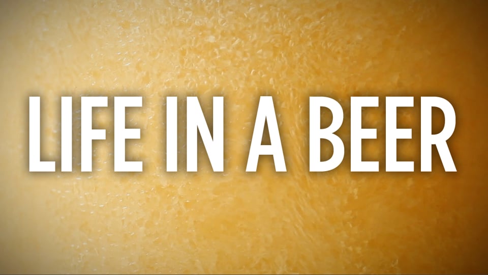 Life In A Beer | Skunk Bear | NPR