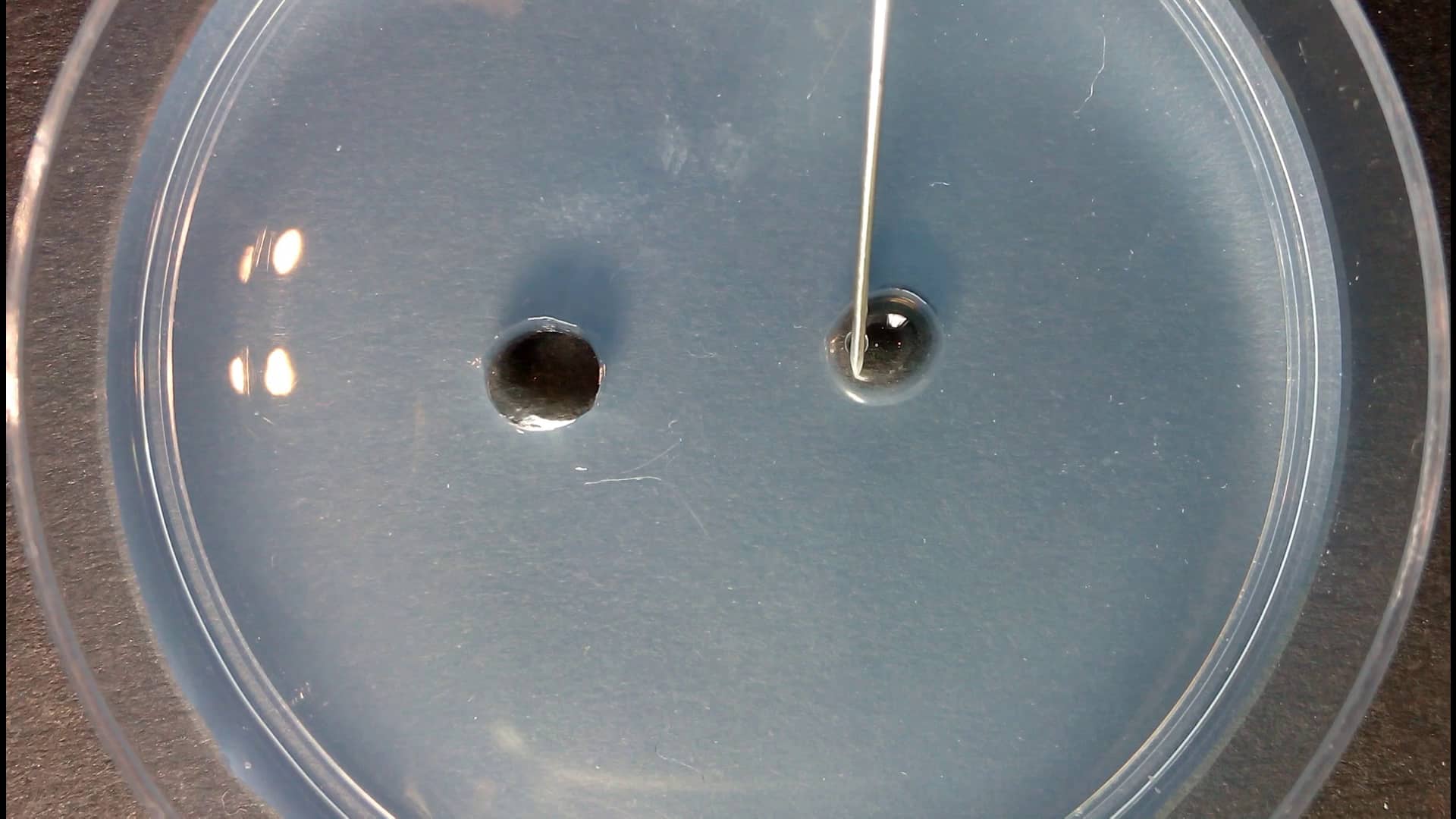 test-de-double-diffusion-test-d-ouchterlony-positif-on-vimeo