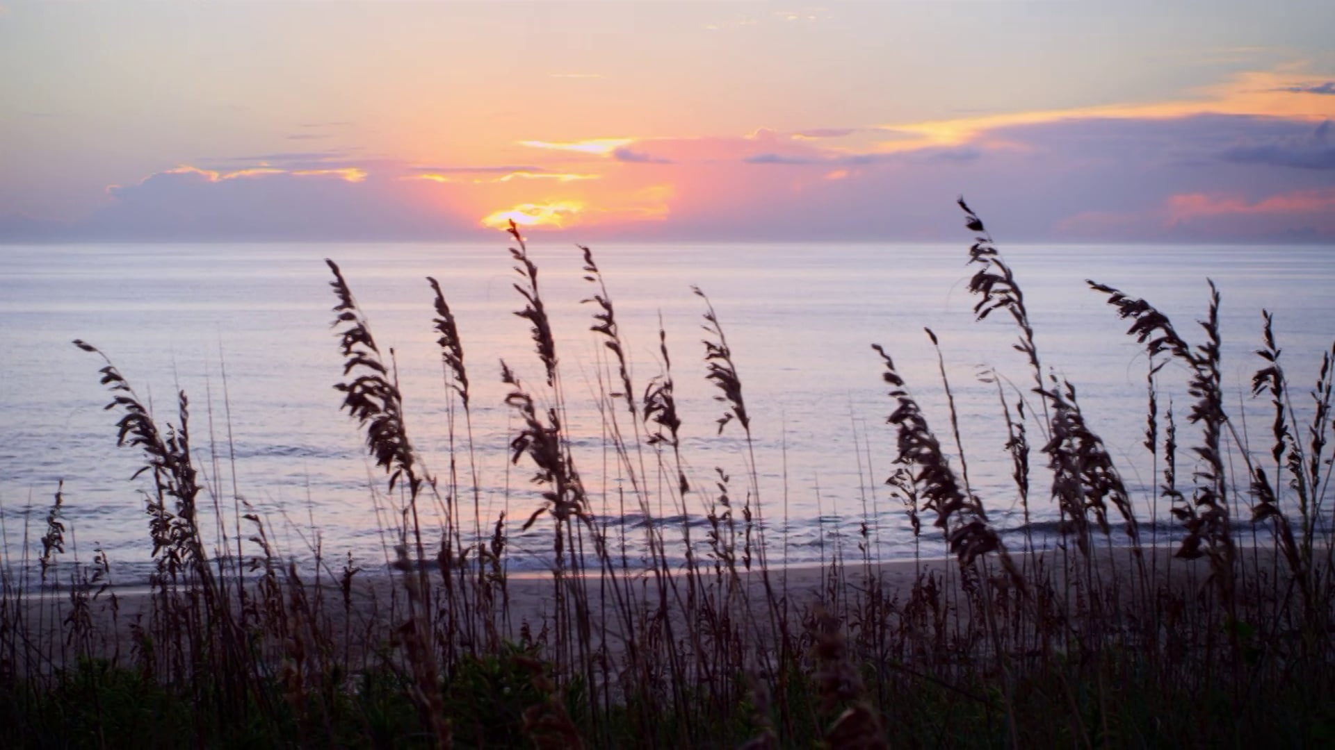 OBX Hospital