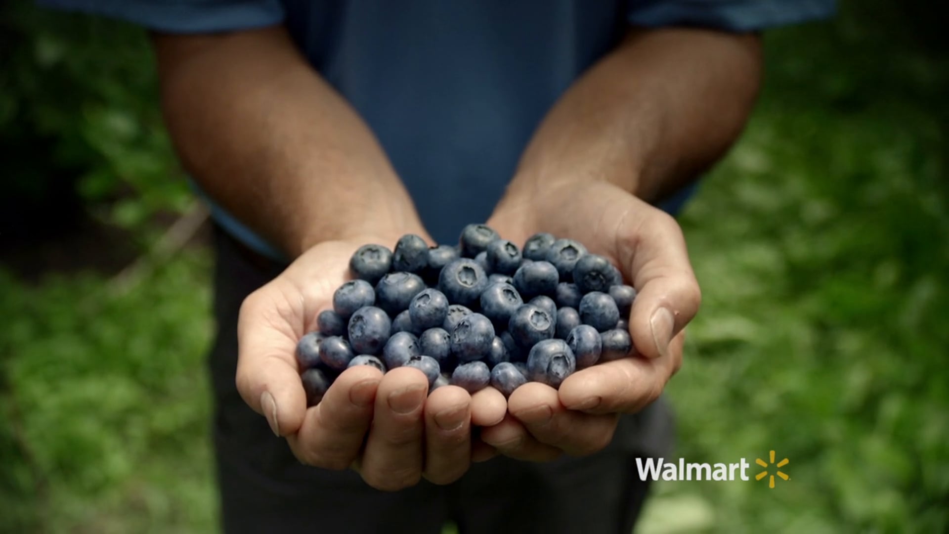 Walmart "Local Produce, Blueberries"