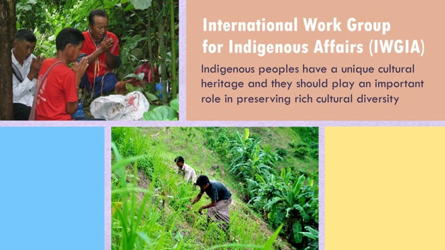 Indigenous Peoples’ Rights to Self-Determination and Development