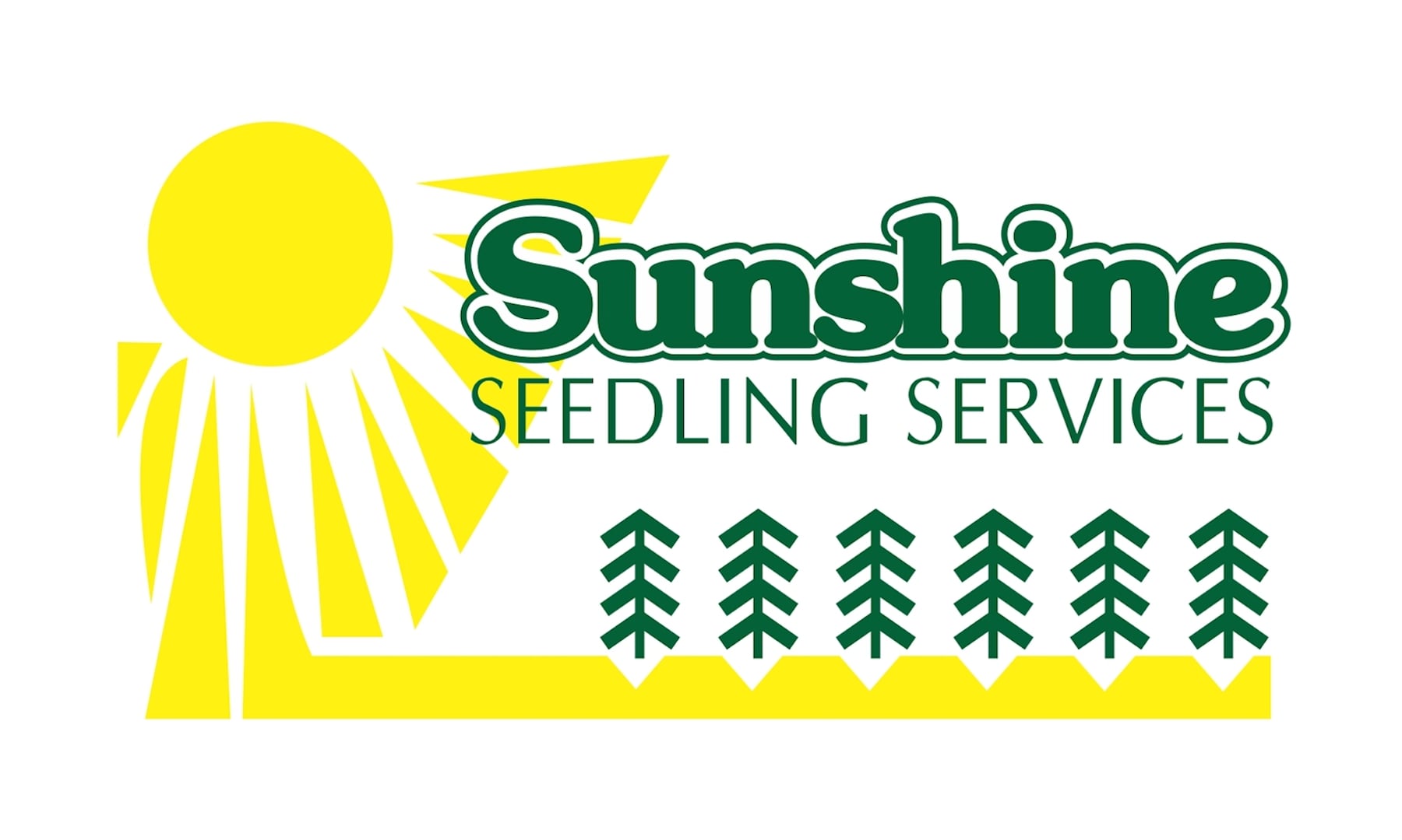 sunshine-seedlings-promo-h264-720p-on-vimeo