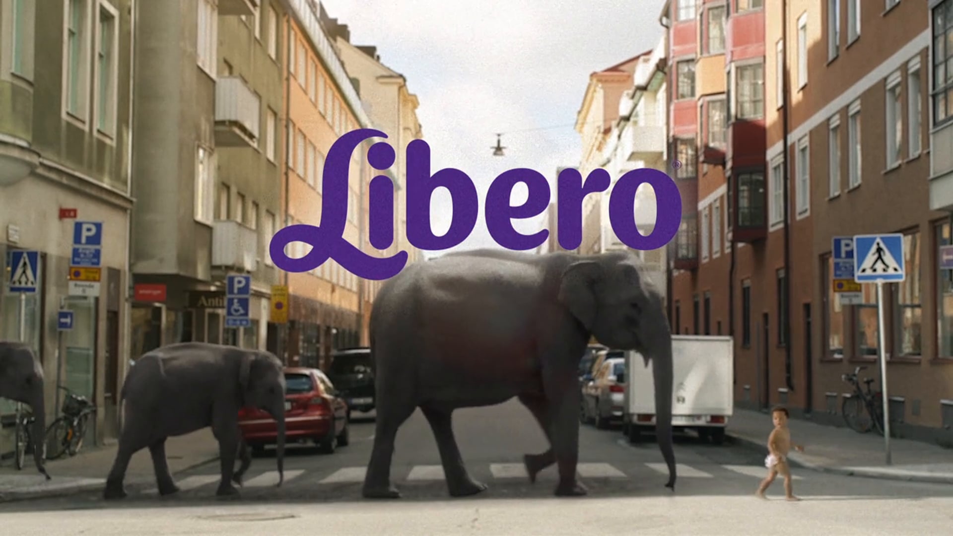 LIBERO -  Wild Kids
