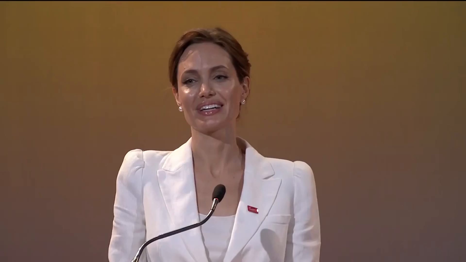 FN Ambassadør, Angelina Jolie