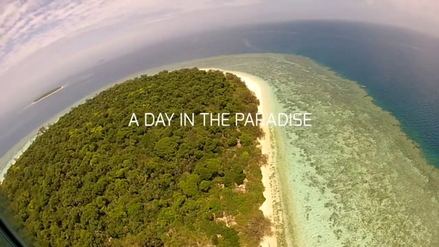 Julien A Day In Paradise