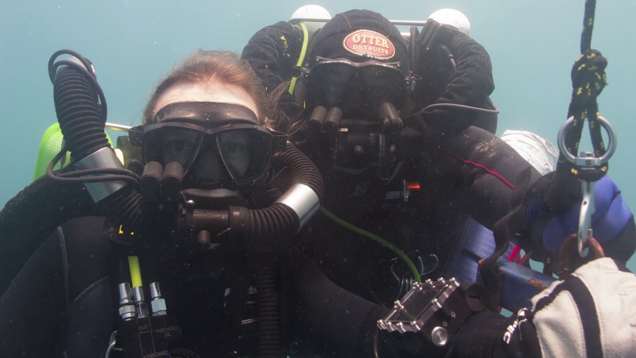 Rosalie Müller Dive Fest 2014