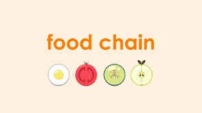 Food Chain