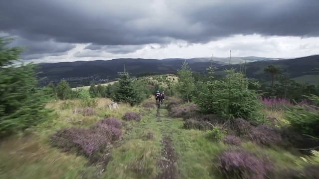 WTB UK Enduro Team - The Trail Boss
