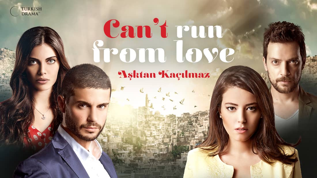 Can T Run From Love Series Eccho Rights