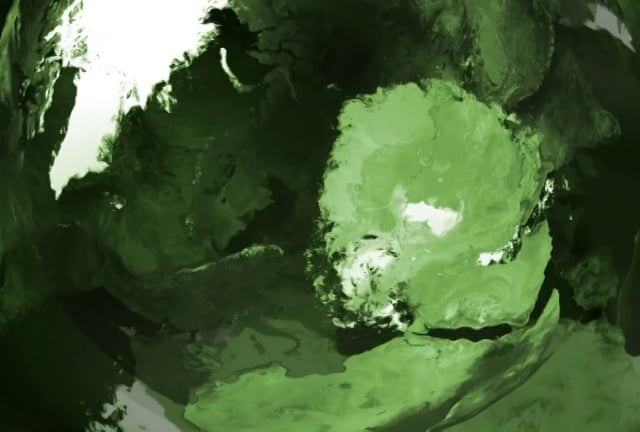 Right Shade of Green OPEN ANIMATION