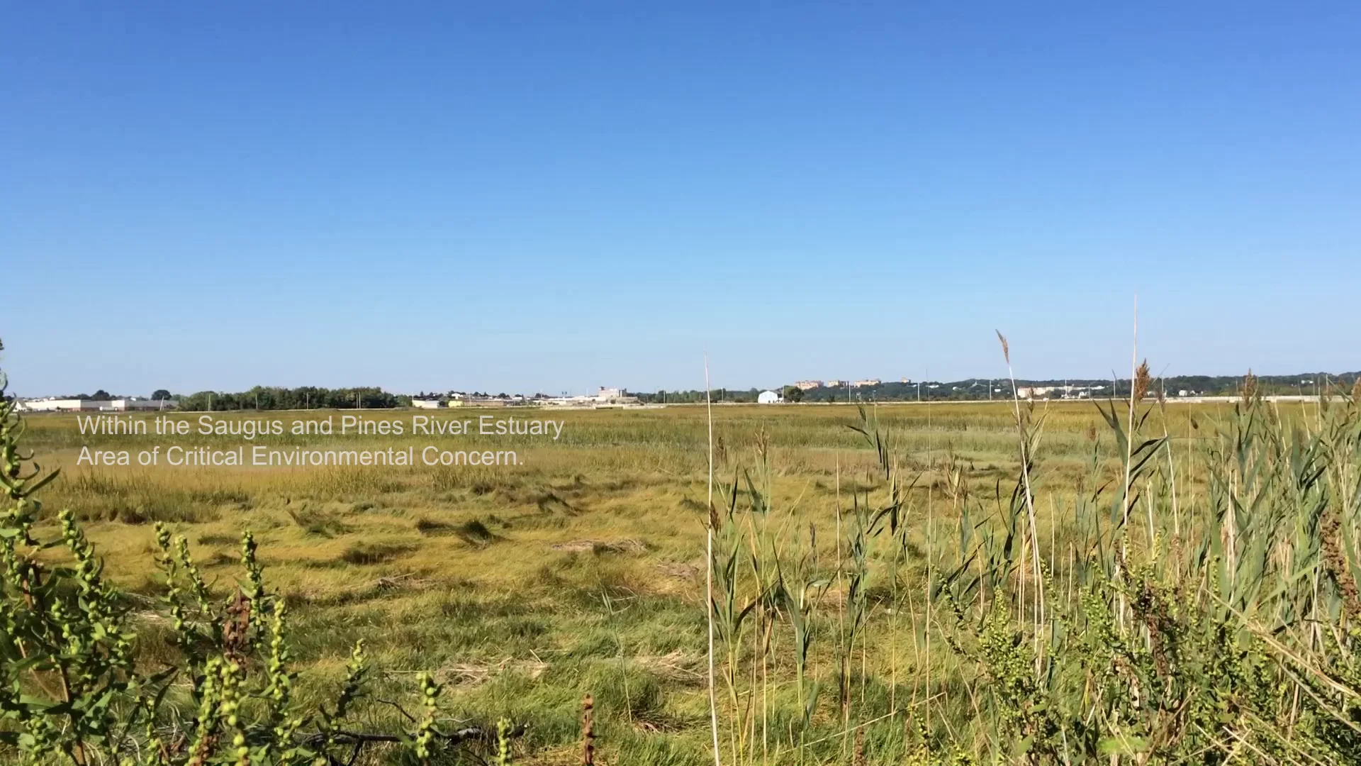 Rumney Marsh, Revere MA + Swamp 1971 Smithson & Holt on Vimeo