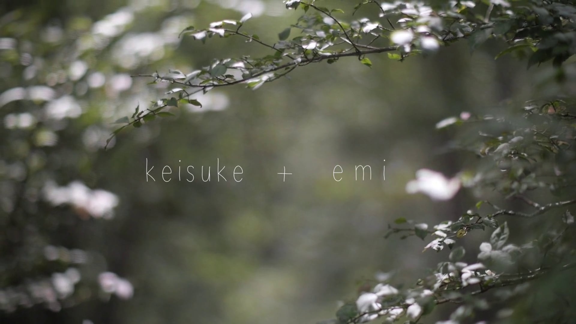 Keisuke＋Emi WEDDING - RUSTIC WEDDING by POINT MAKERS
