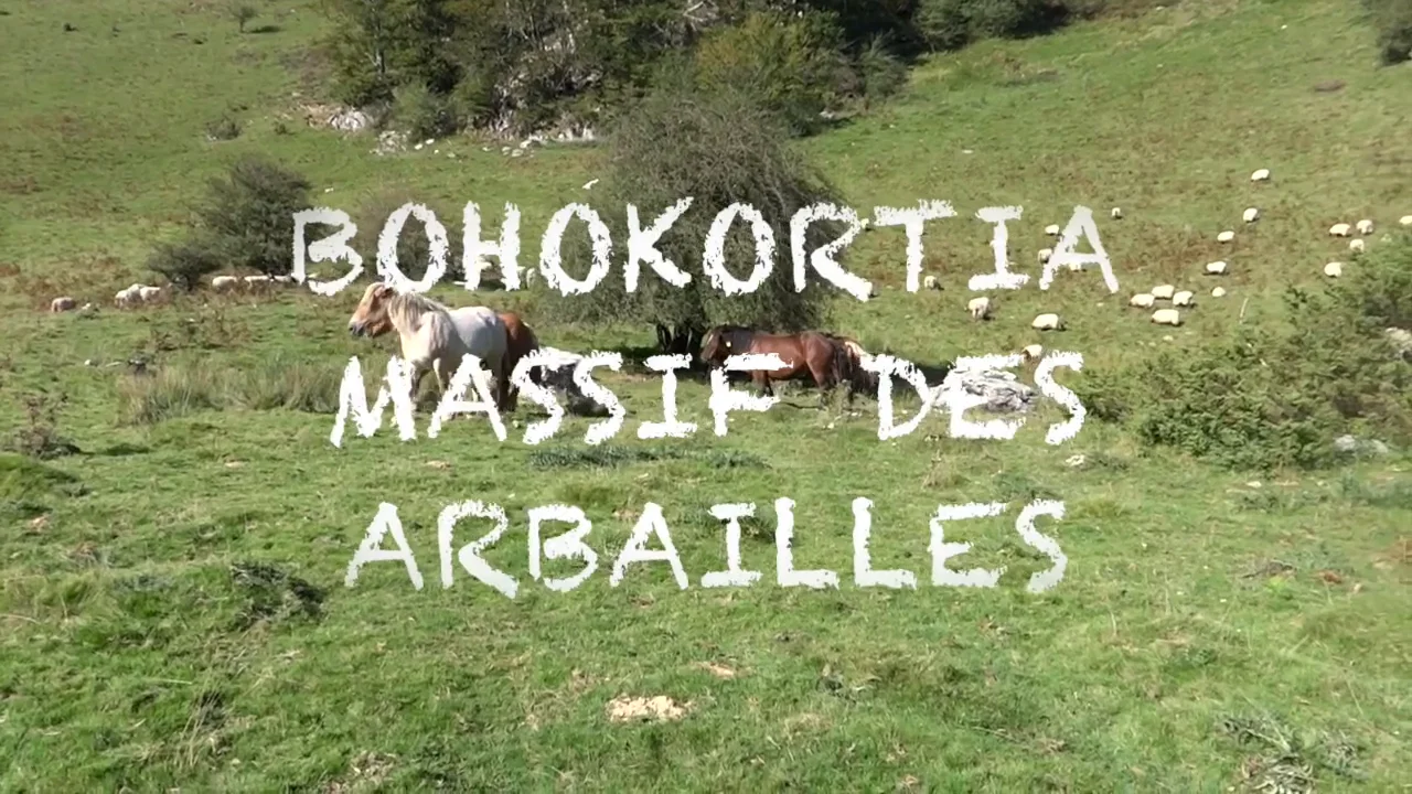 BOHOKORTIA-ARBAILLES PAR LA FONTAINE D'AHUSKI on Vimeo