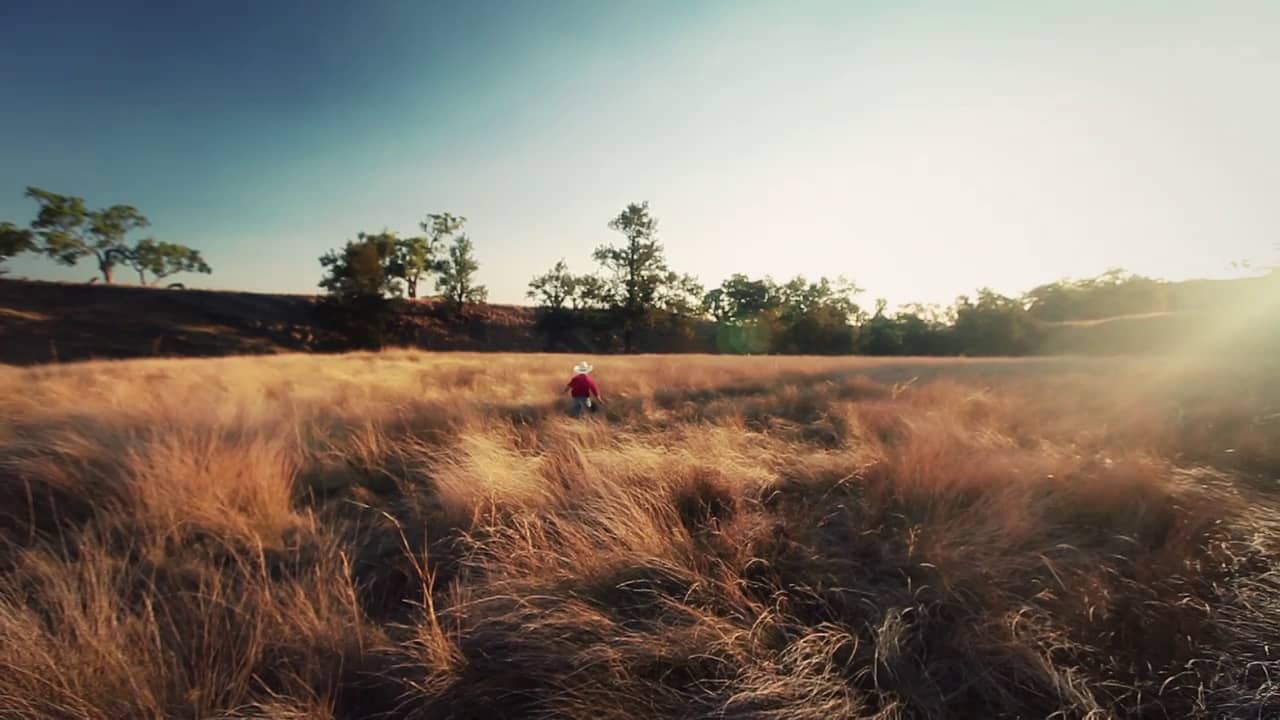 The Mail Run A Short Film On Vimeo