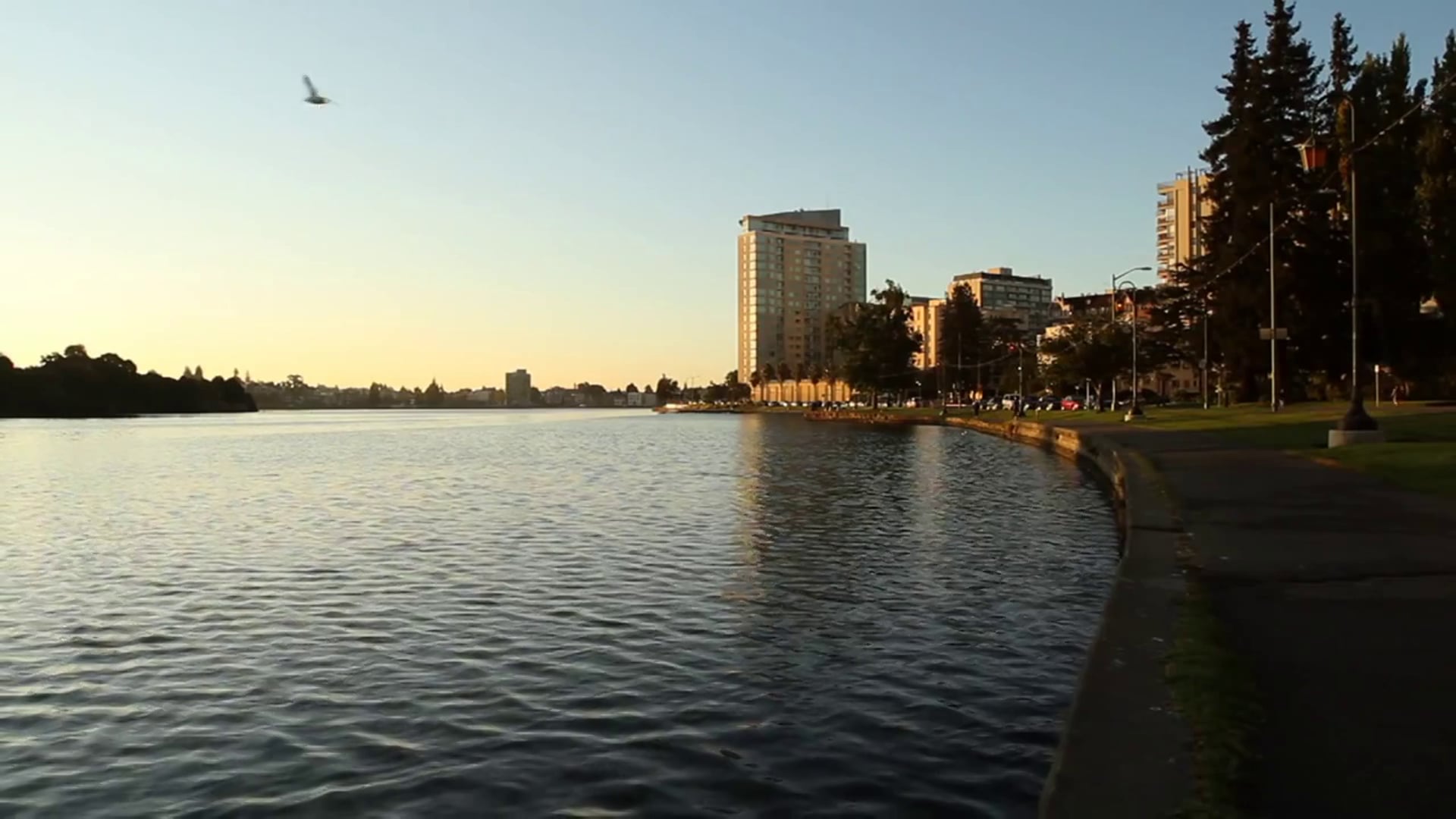 DYKE CENTRAL pilot episode!