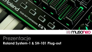 Roland SH-101 Plug-out