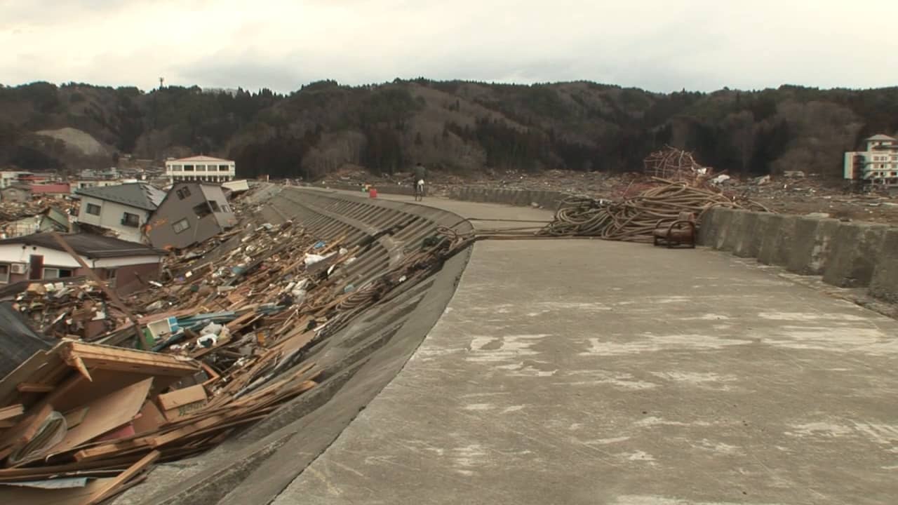 Japan tsunami defences