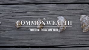 The Common•wealth - Eat