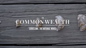 The Common•wealth - Eat