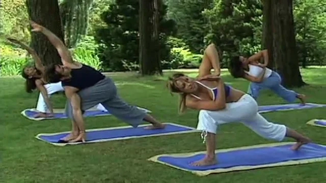 Yoga Reel.mp4 on Vimeo