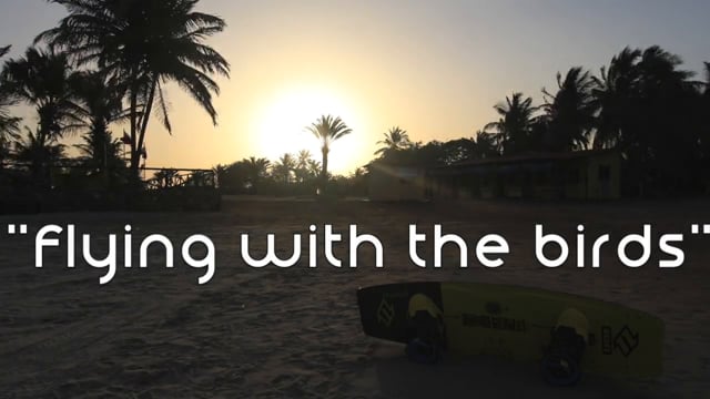 Seb Garat - Flying With The Birds