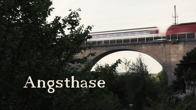Angsthase short h264 1080p