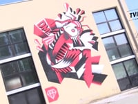 ARCUGNANO, UN PESCE SILURO GIGANTE E… INNOCUO