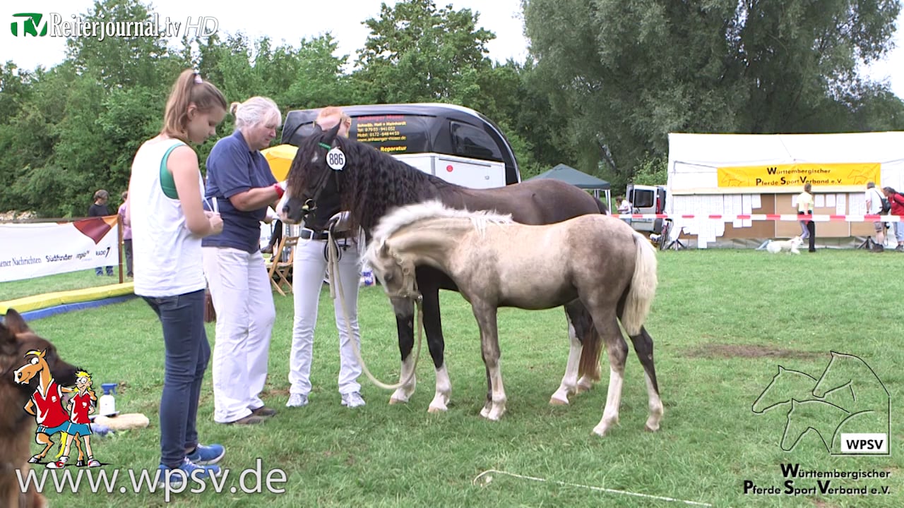Bundespferdefestival Ellwangen 2014 - Kurzversion - www.wpsv.de