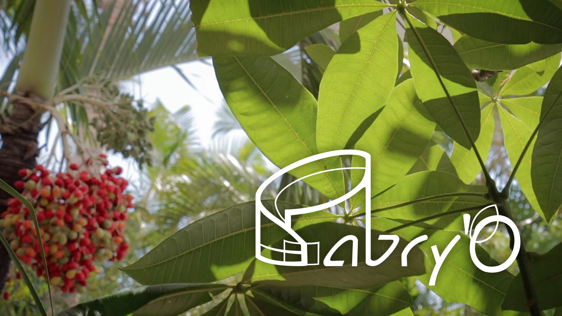 abry'O, the garden oasis Promo on Vimeo