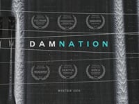 DamNation