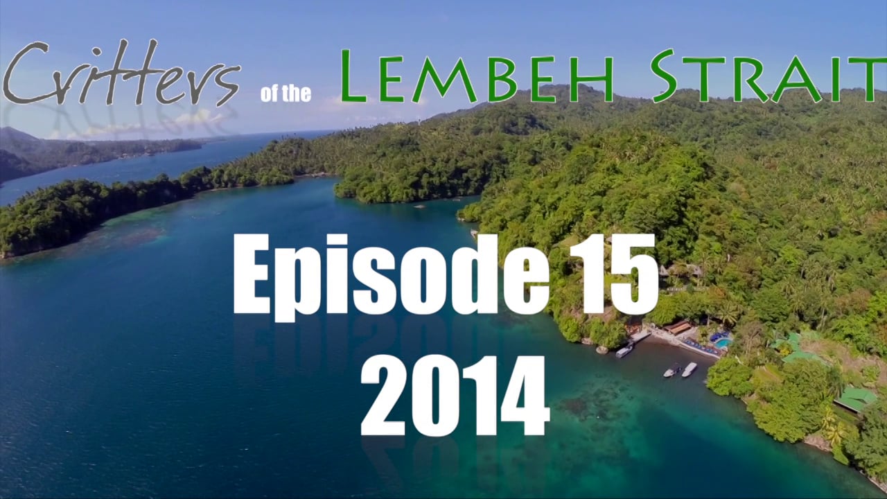 Critters of the Lembeh Strait | Episode 15/2014