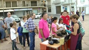 Castanyes i sardanes