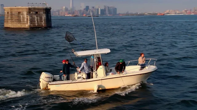 nyharborfishing