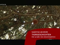 rbb Fernsehen Trailer Tiergeschichten