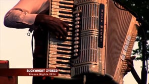 Buckwheat Zydeco - It's Alright