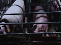 Weil wir fuehlen....