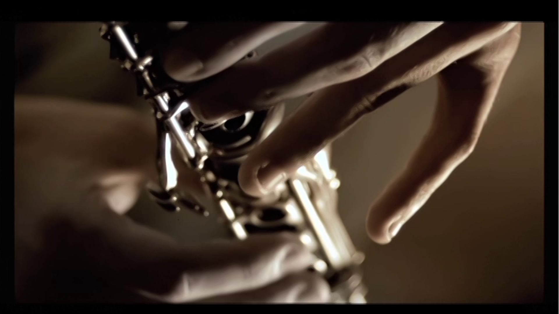 HIT (2008) - Documental (español)