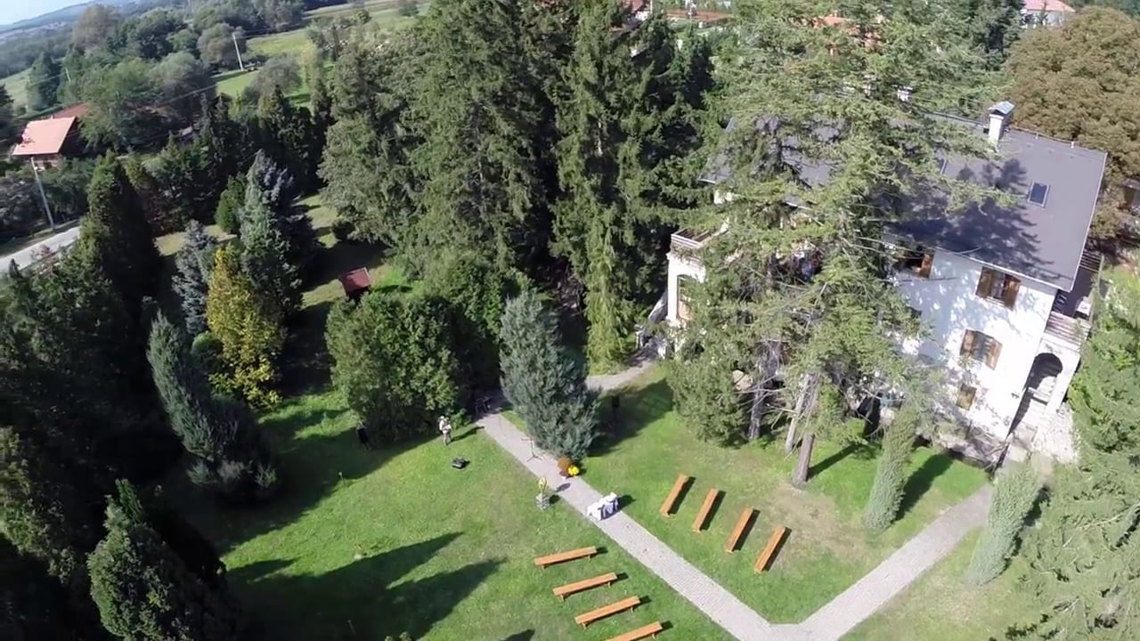 Renáta és Tamás Wedding party film