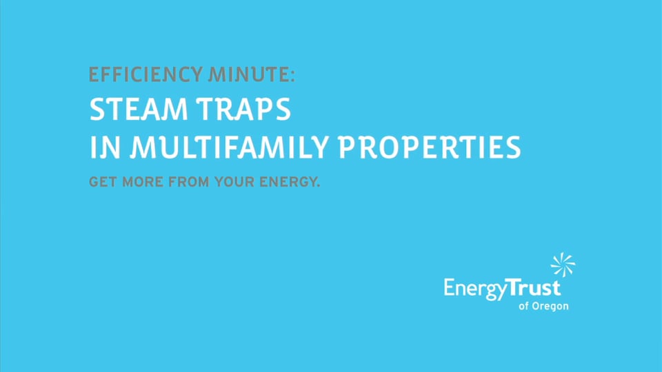 Thumbnail of video for Efficiency Minute: Steam Traps